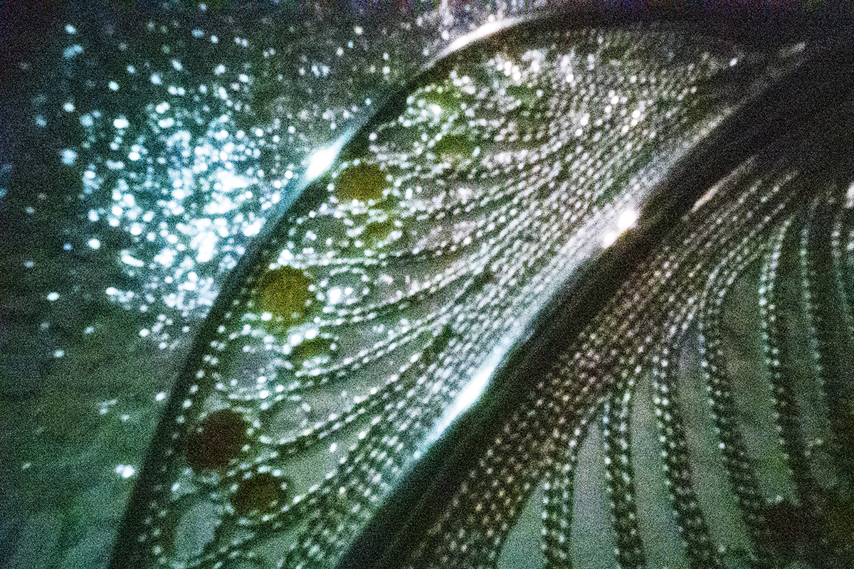 記録プロジェクト202105180005