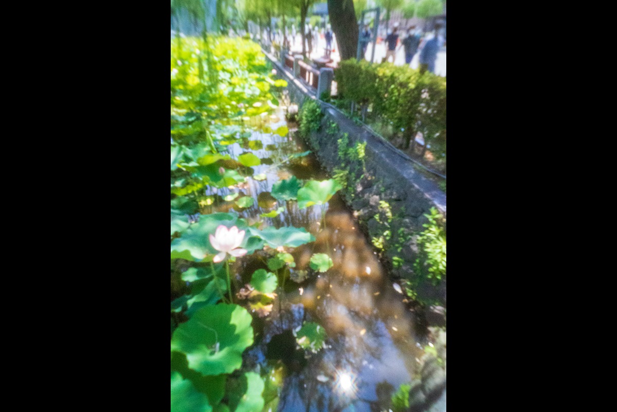 記録プロジェクト202106120001